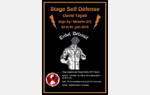 Stage Self Défense  Tribal Défensif 