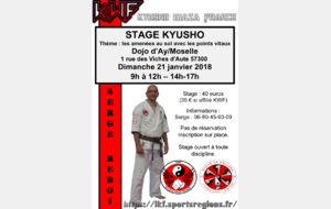 Stage kyusho à AY SUR MOSELLE
